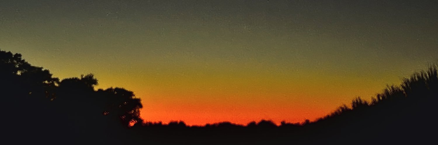 FemViolett's banner