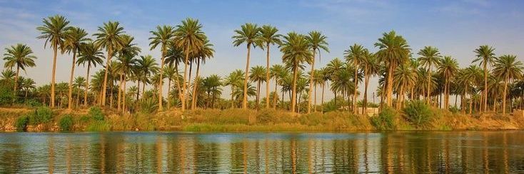 شهرزاد طالب's banner