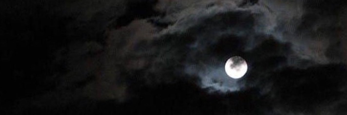 Nobody's banner