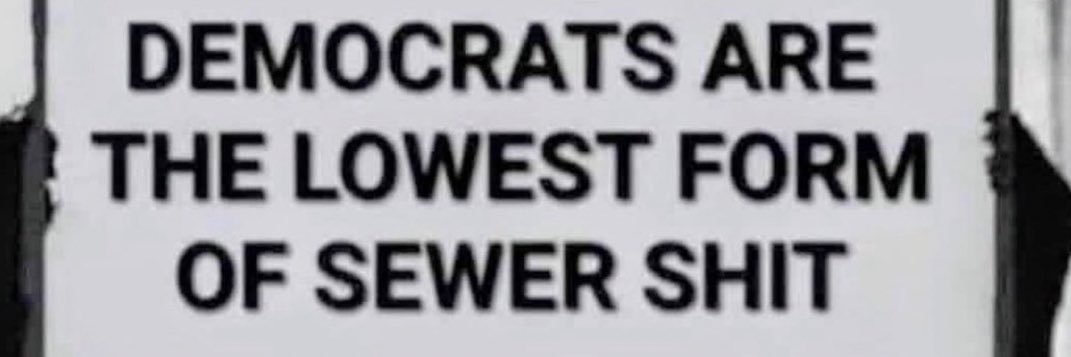 MAGA 🇺🇸👊🏻🇺🇸WOLF's banner