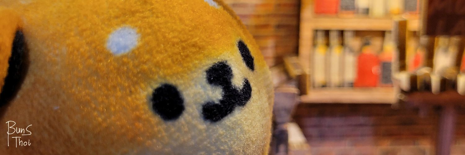 ʙᴜɴꜱ ᴛʜᴏɪ's banner