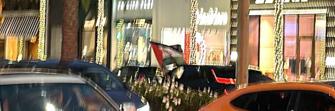 🇩🇿🇸🇦's banner