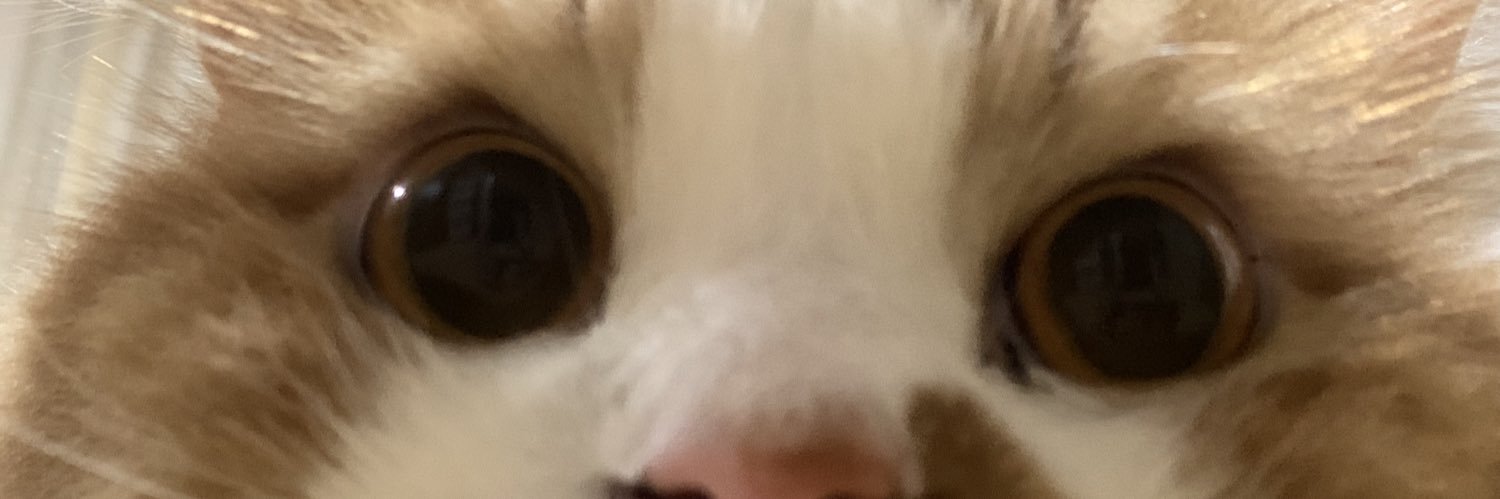 Avo🥑 (semi ia @ uni)'s banner