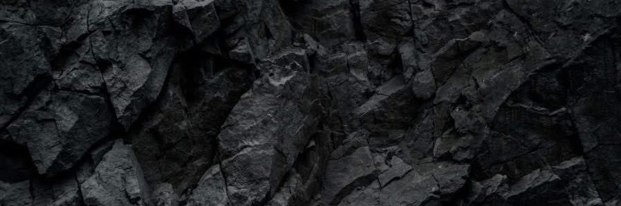 Gut Handler's banner
