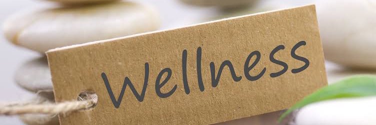 WellnessDaily's banner