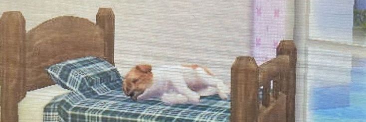 silly•𝆺𝅥's banner