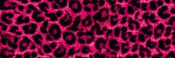 Daniela B.'s banner