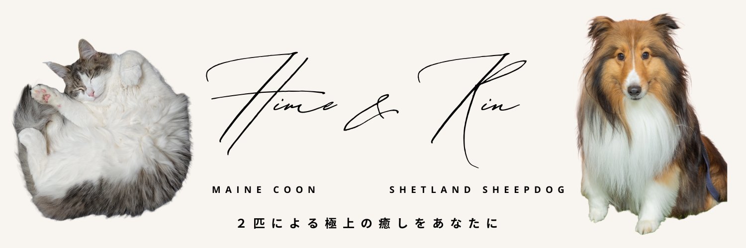 シェルティとメインクーンの同居日記's banner