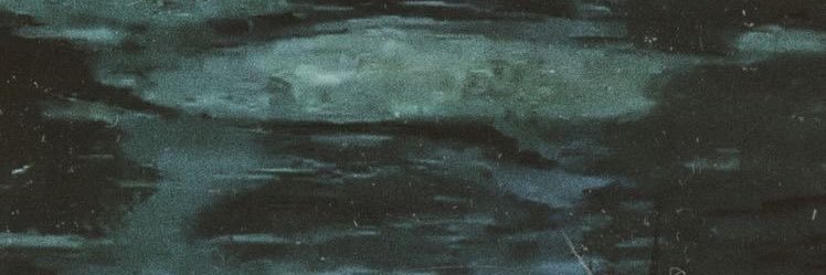 Vici Vail's banner