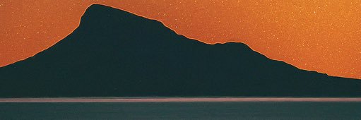 Ryan's banner