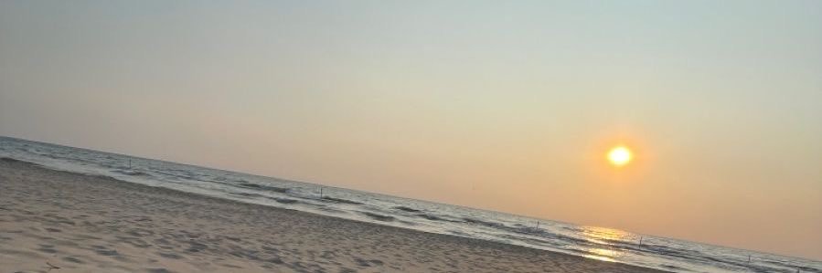 Zoé's banner