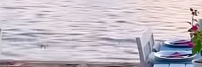 Deniz ATEŞ's banner