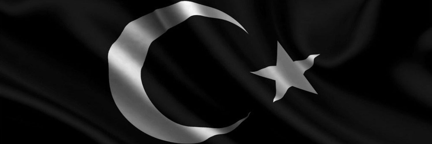 Başıboş Terörist Sorunu's banner