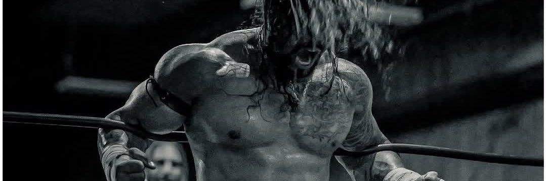 OnixTheOne's banner