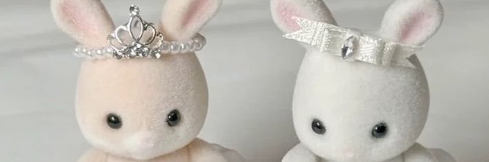 𝑬𝒗𝒂𝒂𝒂 •⩊•'s banner
