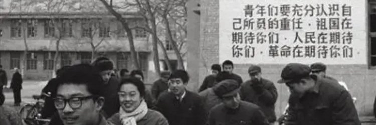 每日宝鉴（💯互关互fo侵删）'s banner