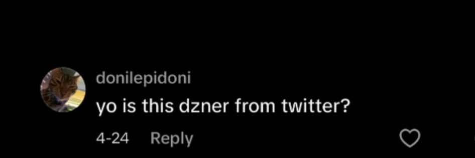 Dzner™️'s banner