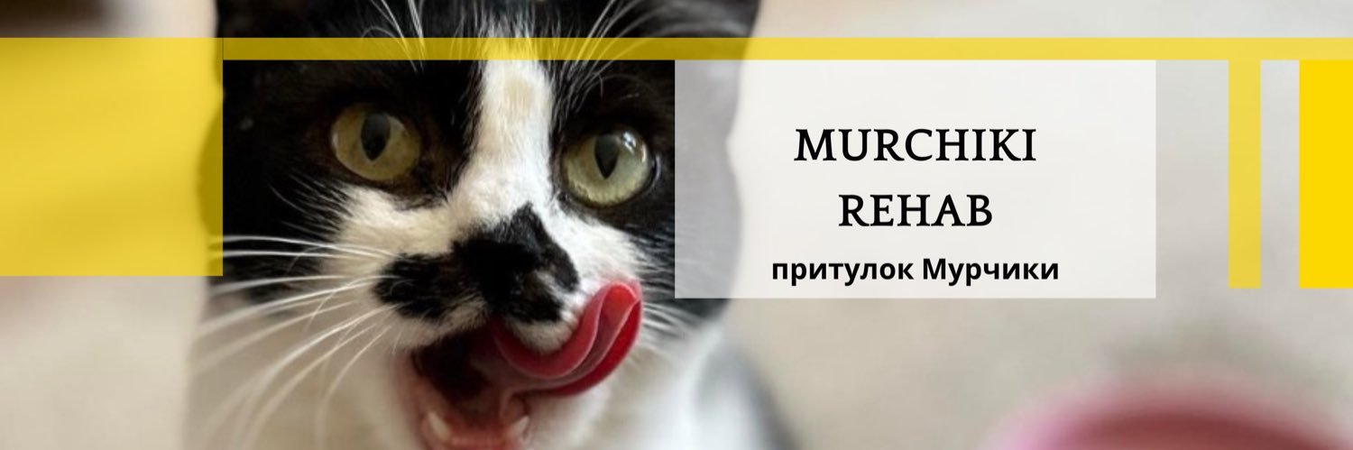 Міністерство котячих справ's banner