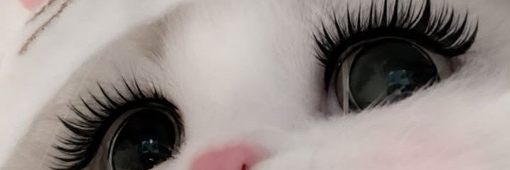asupanharianVIP77's banner