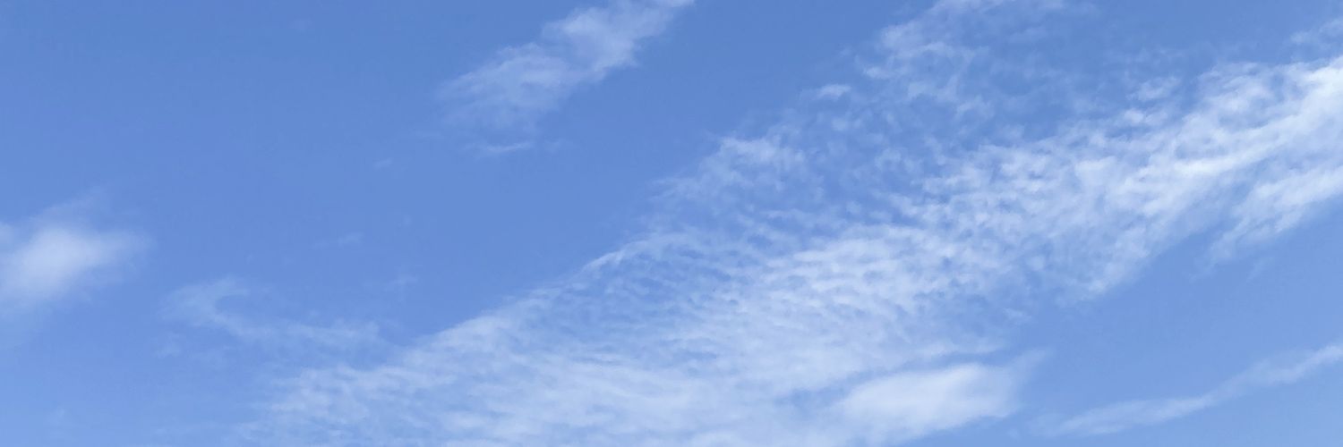 🦋's banner