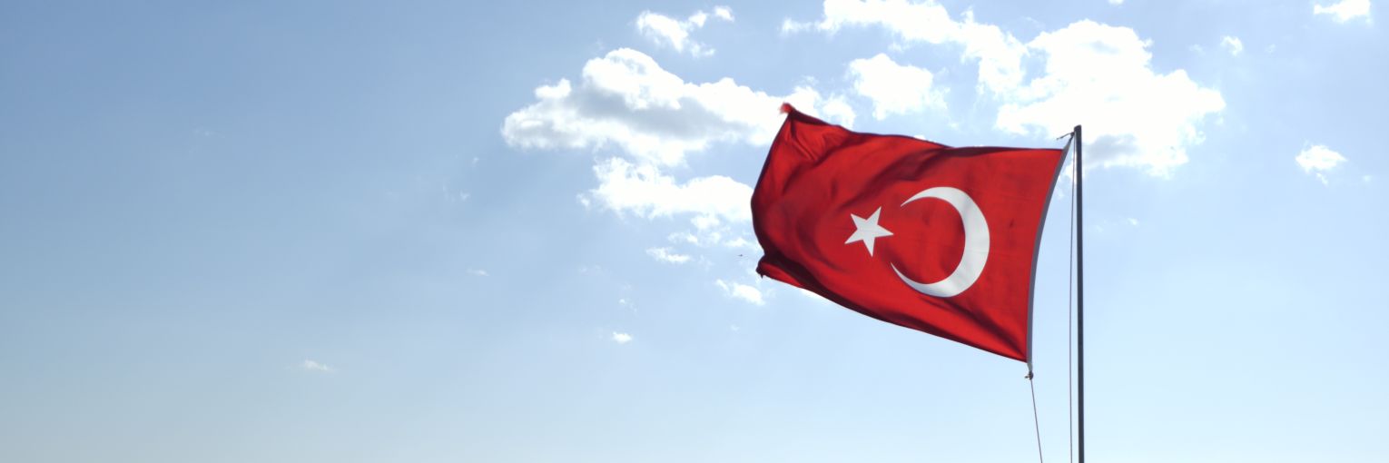 Memejan's banner