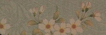 tami (mothmaxxing)'s banner