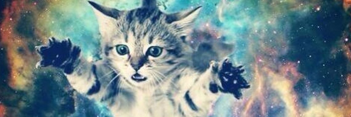 kitty 🧩🌈's banner