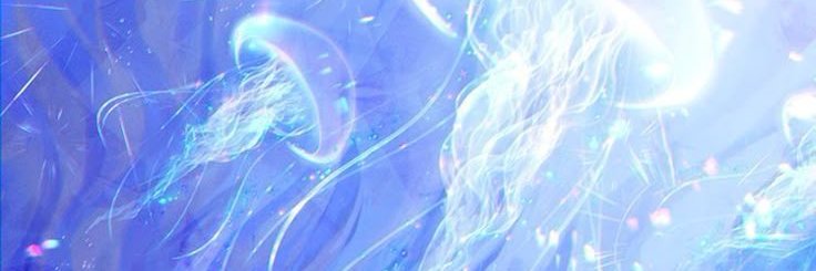 ๋࣭ ⭑⚝ 𝗻𝗲𝘀𝘀𝗮 ♡ ˎ⭑🪼 ๋ ˊ˗'s banner