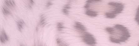 단추's banner