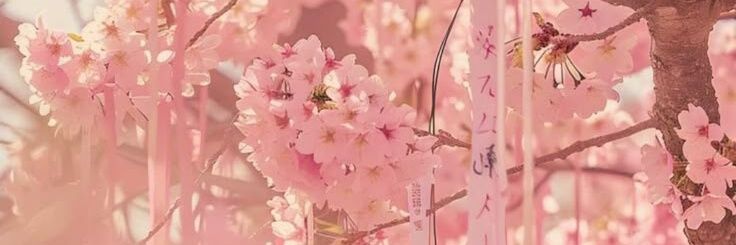 Vyxen's banner
