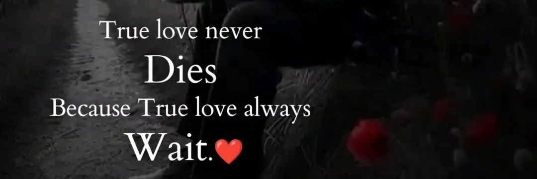 𝕽𝖊𝖎𝖓𝖟_𝕳𝖃 🦋's banner