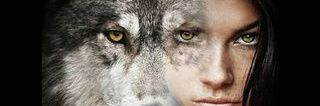 Parva luna's banner