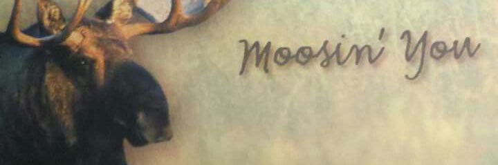 BULLRIDER's banner