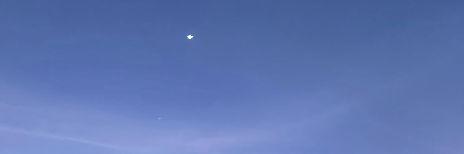 集印廢紙's banner