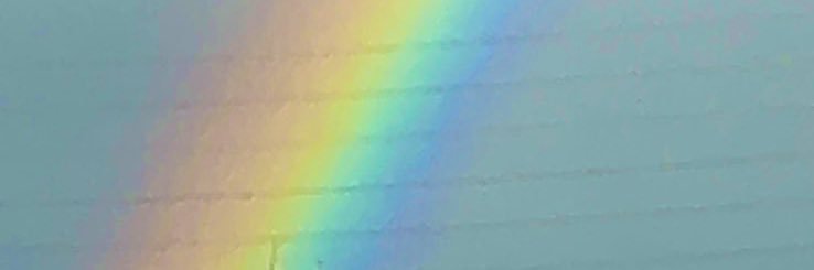 ちきゅう。's banner