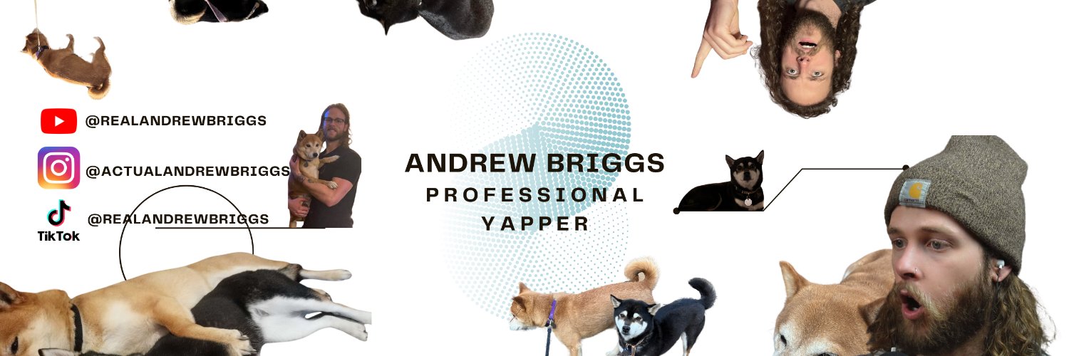 Andrew Briggs's banner