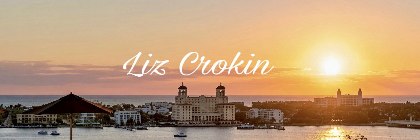 LIZ CROKIN's banner