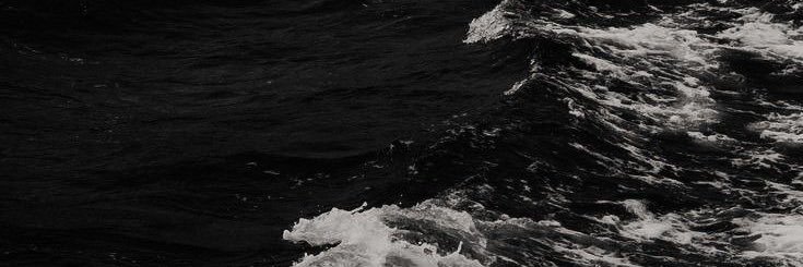 vine's banner