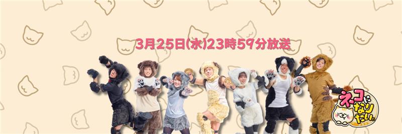 ネコになりたい。【公式】's banner