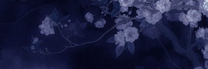rara ౨ৎ ˚⊹'s banner