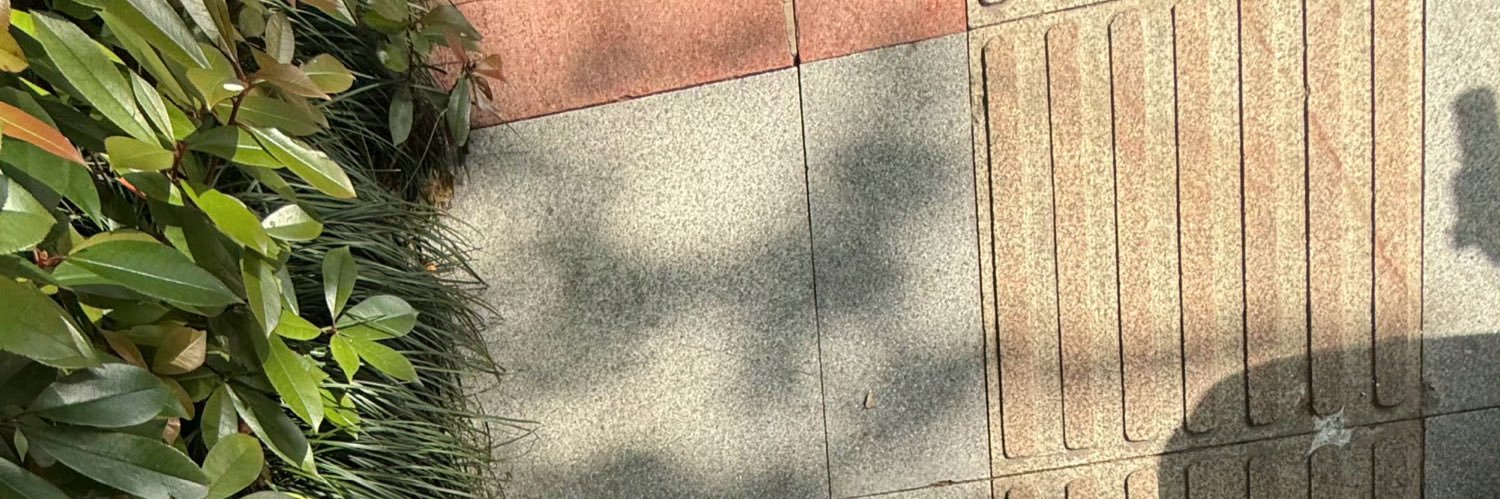 我爱吃菠萝's banner