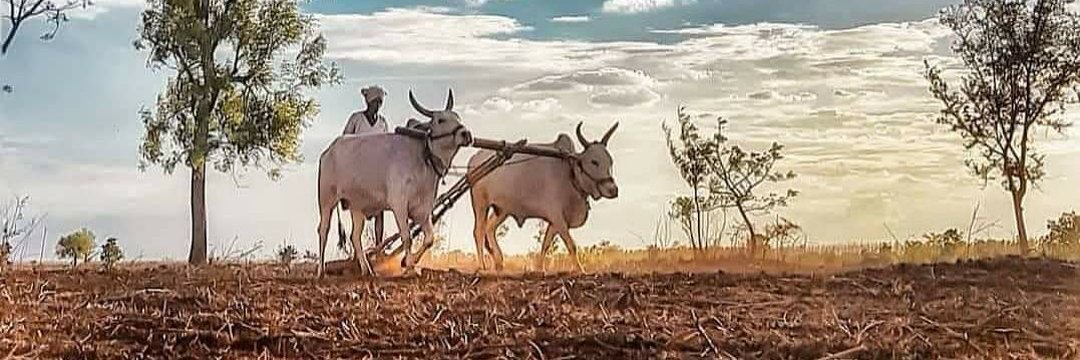 नीहारिका 🍁🍂's banner