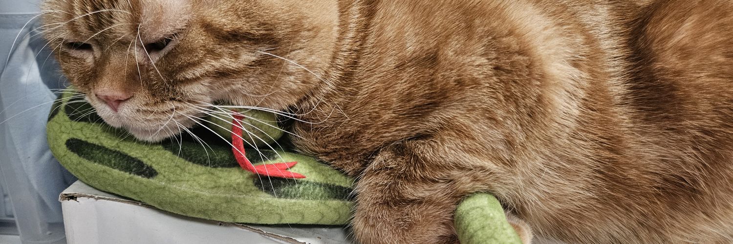 まんげつ🍵くも🐍_🐾に's banner