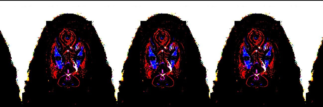Grã Sacro Acervo Ana Mary B's banner