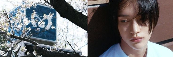 dyd's banner