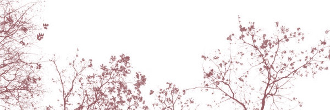 jaiden's banner