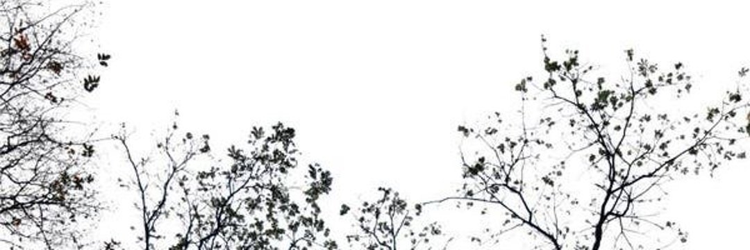 jaiden's banner