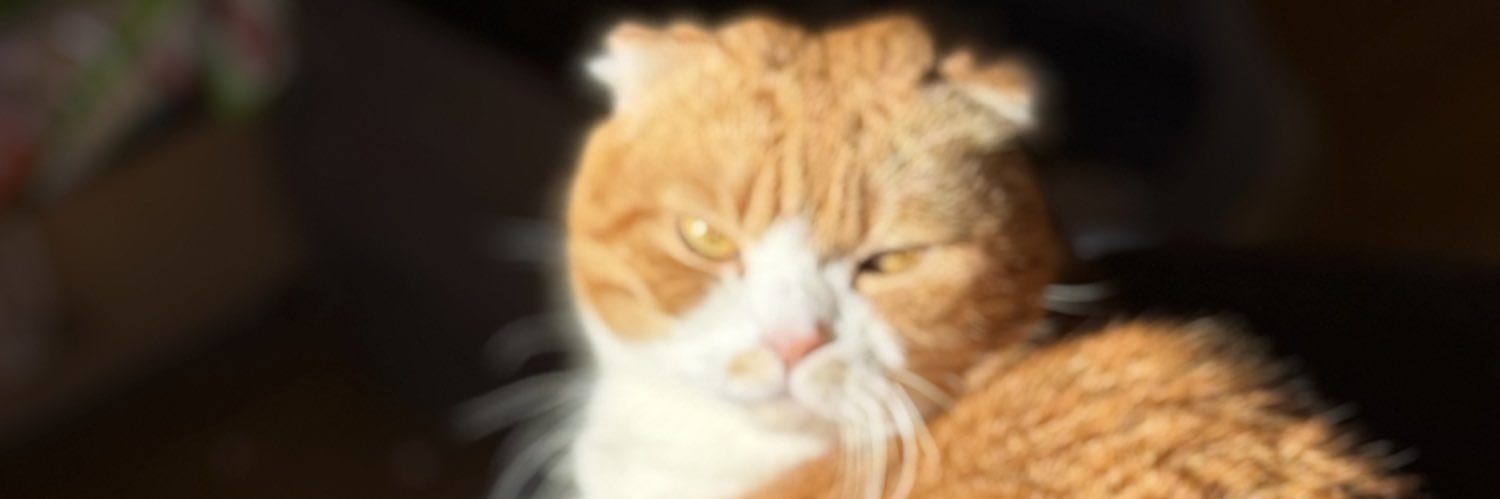 ねこさん's banner