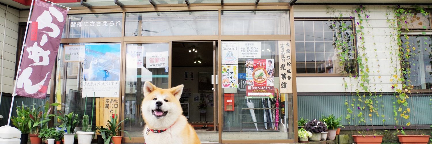 秋田犬はるとはな｜ふるさわおんせん｜ #秋田県 #大館市's banner