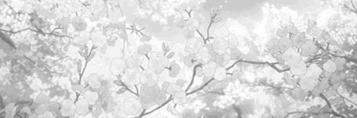 ࣪ ִֶָ☾. sephon's banner